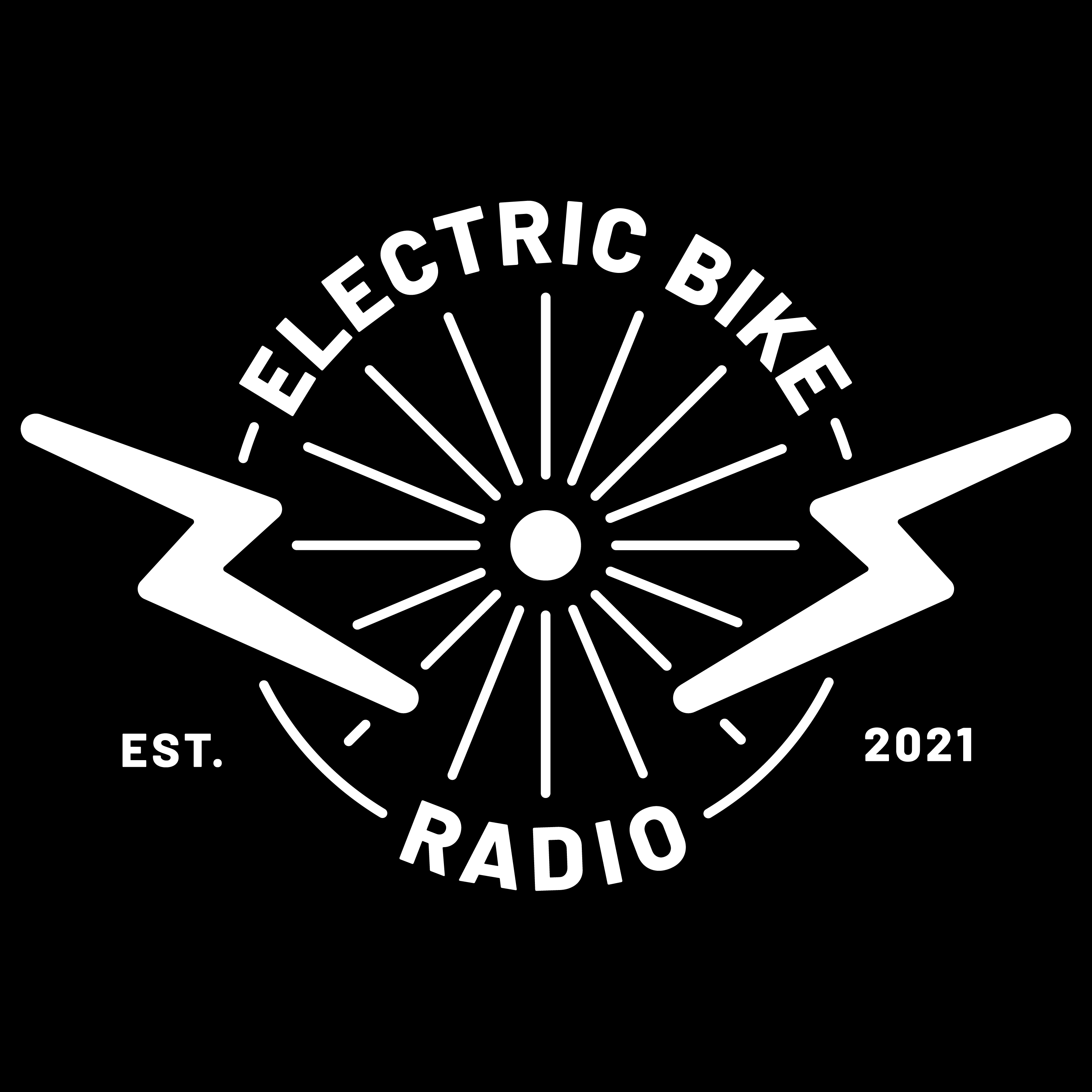 Electric Bike Radio